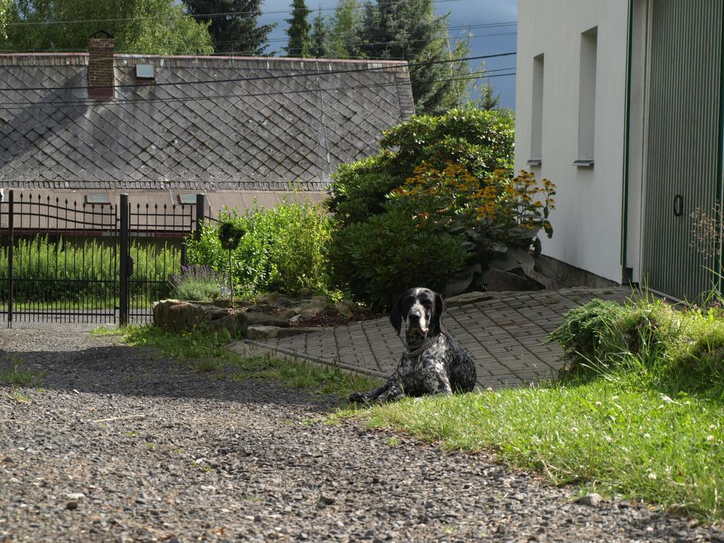 Guest House Luft Sneznik Exterior photo