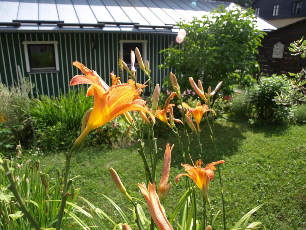 Guest House Luft Sneznik Exterior photo